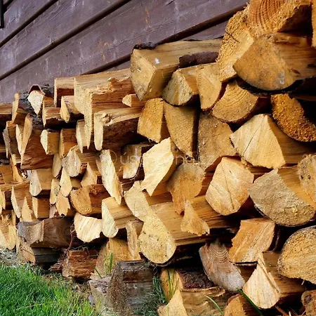 Cynthia * Liptovsky Mikulas